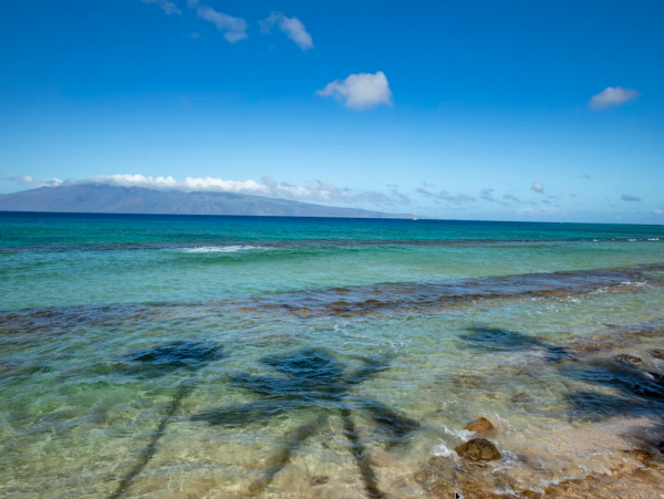 Kaanapali  Maui Condo 1096013